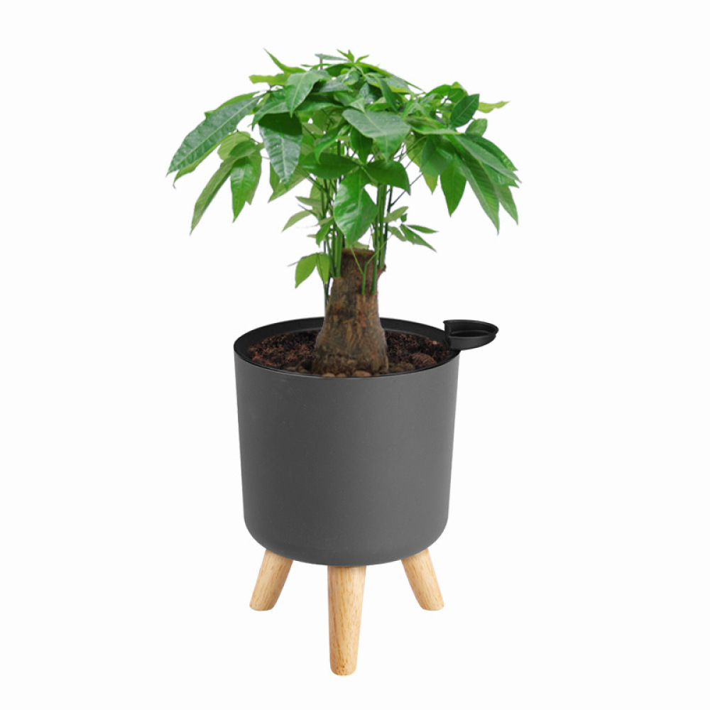 Self Watering Modern Flower Po - Self Watering Planter 评论和价格