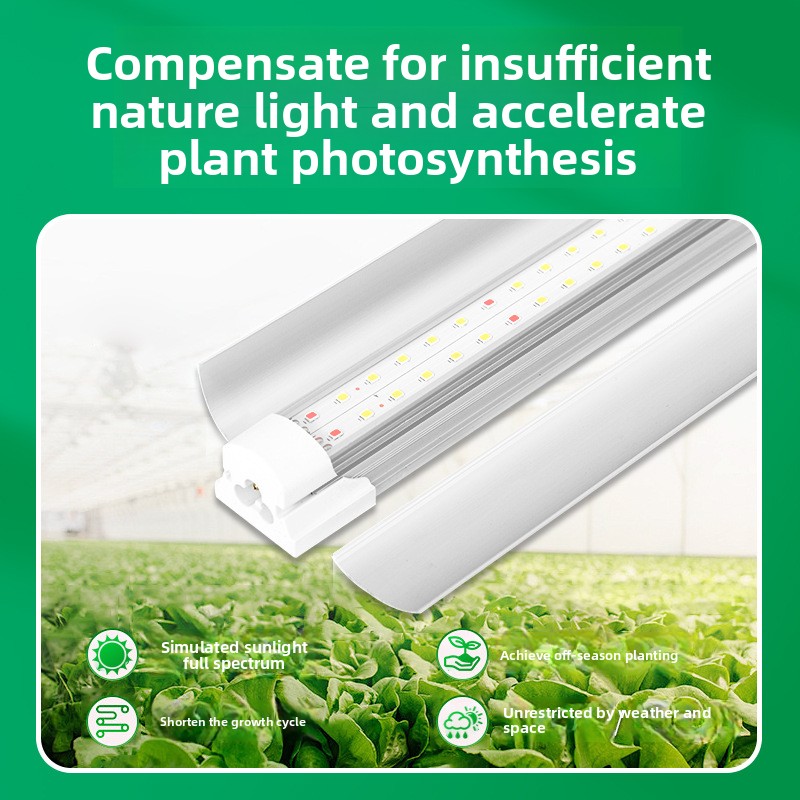 Indoor Green Plant Supplement  - Plant Grow Light Full Spectrum 评论和价格