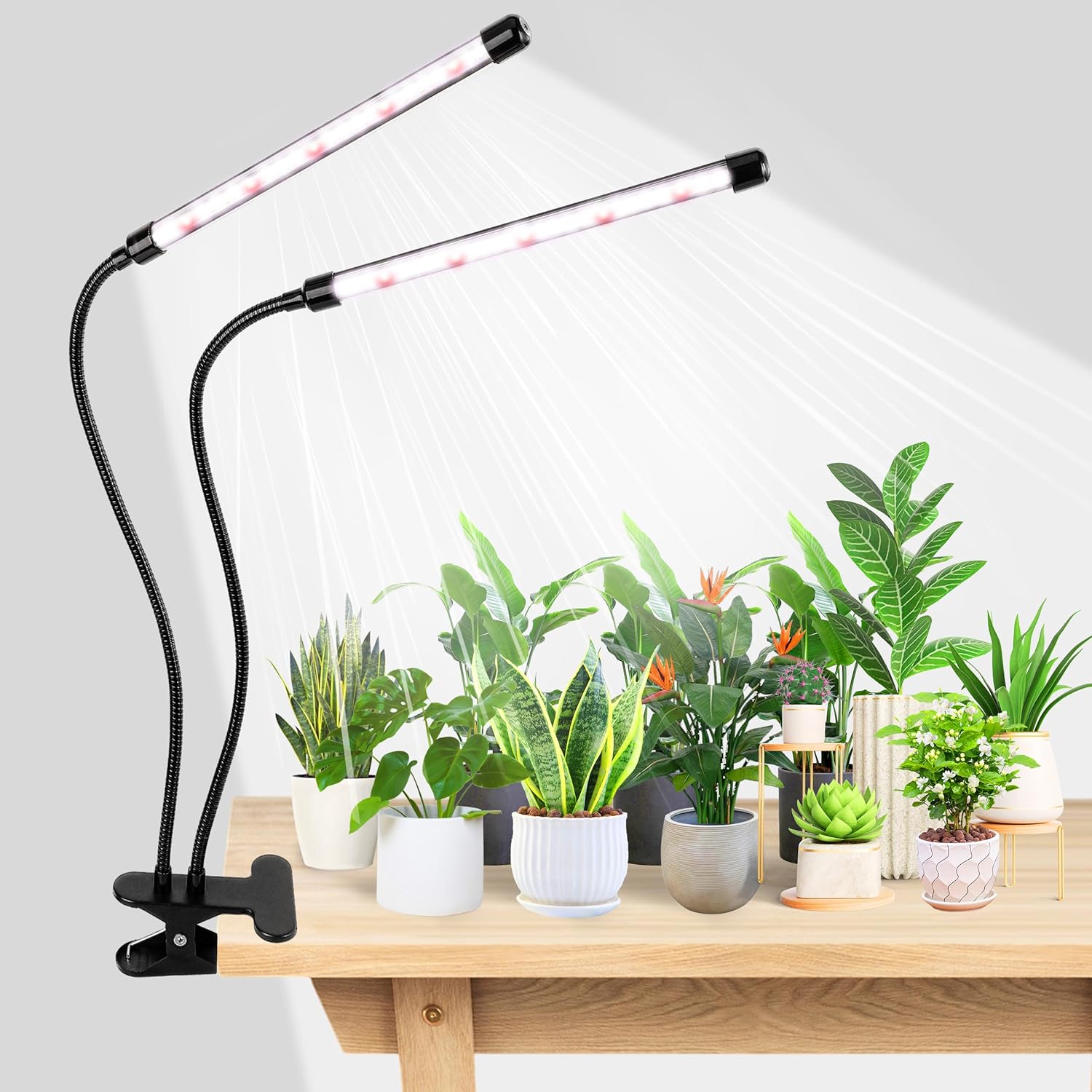 KEBINCPLED USB 5V Clip Plant G - Hydroponic Grow Pod 评论和价格
