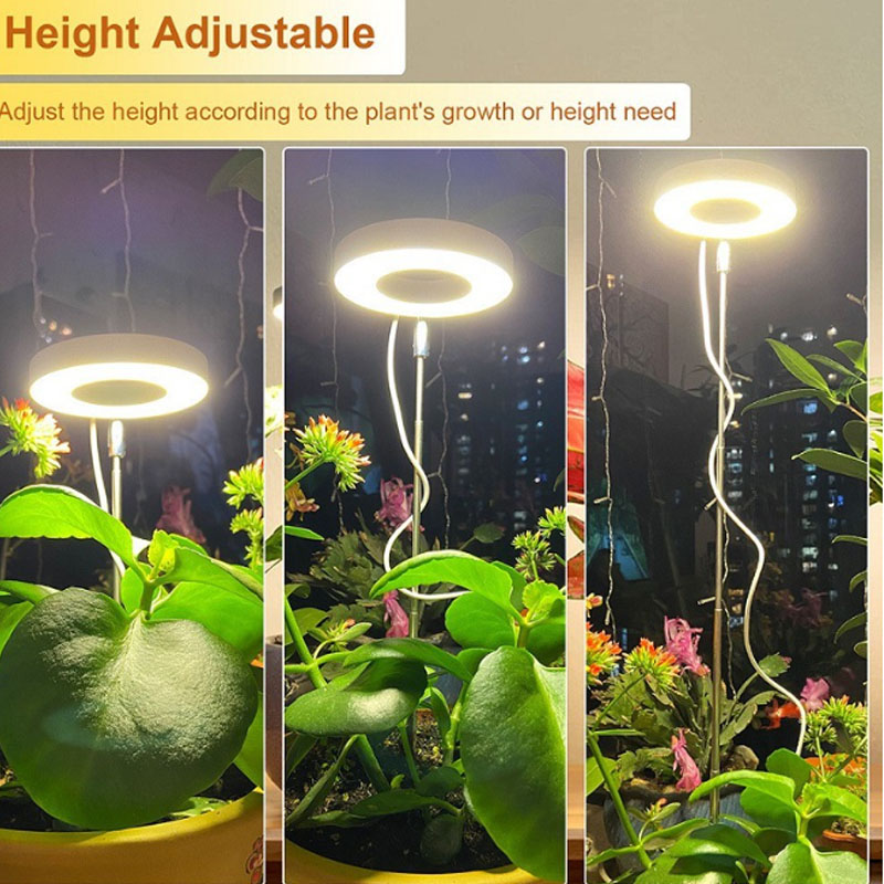 LED Grow Light Full Spectrum P - Indoor Garden Kit 评论和价格