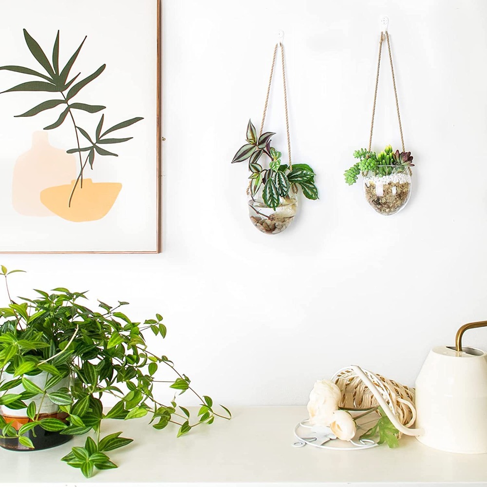 Transparent Hydroponic Hanging - Hydroponic Grow Pod 评论和价格