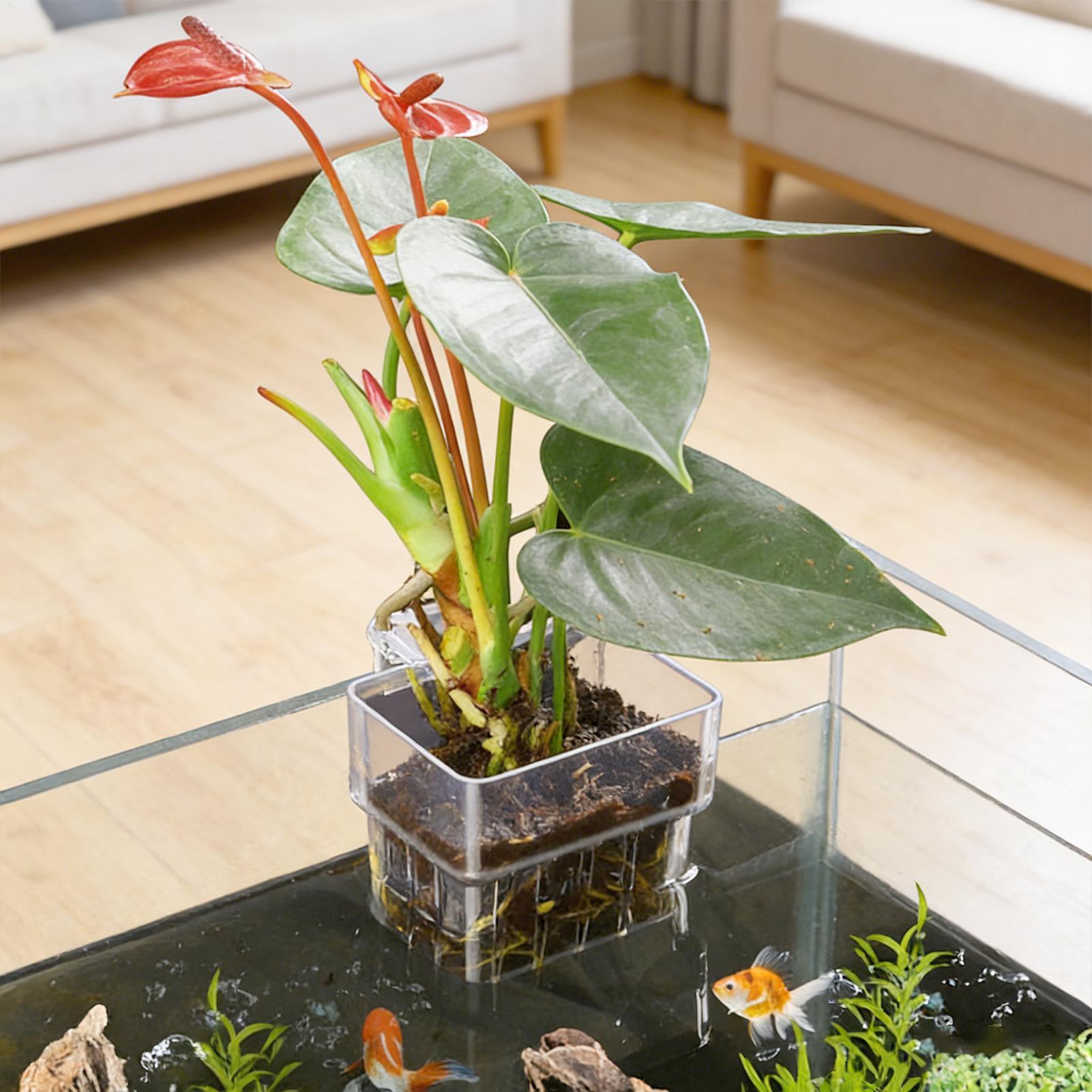 Transparent Hangable Aquarium  - Hydroponic Grow Pod 评论和价格
