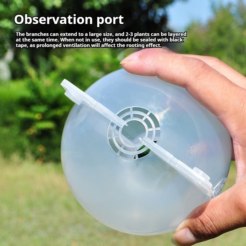 10pcs Plant Propagation Kit: H - Indoor Garden Kit 评论和价格