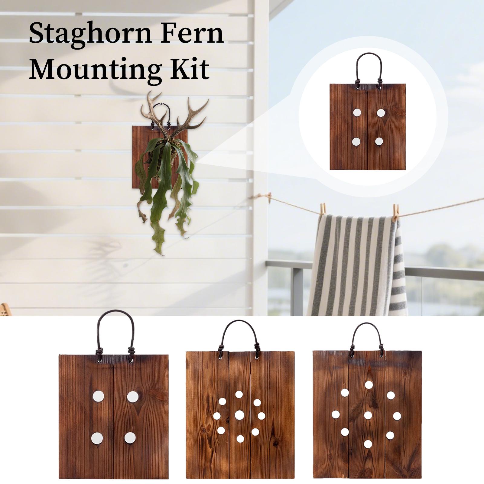 Staghorn Fern Wall Mount Board - Indoor Garden Kit 评论和价格