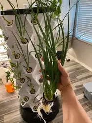 2023 Most Cost-efficient And E - Hydroponic Tower 评论和价格