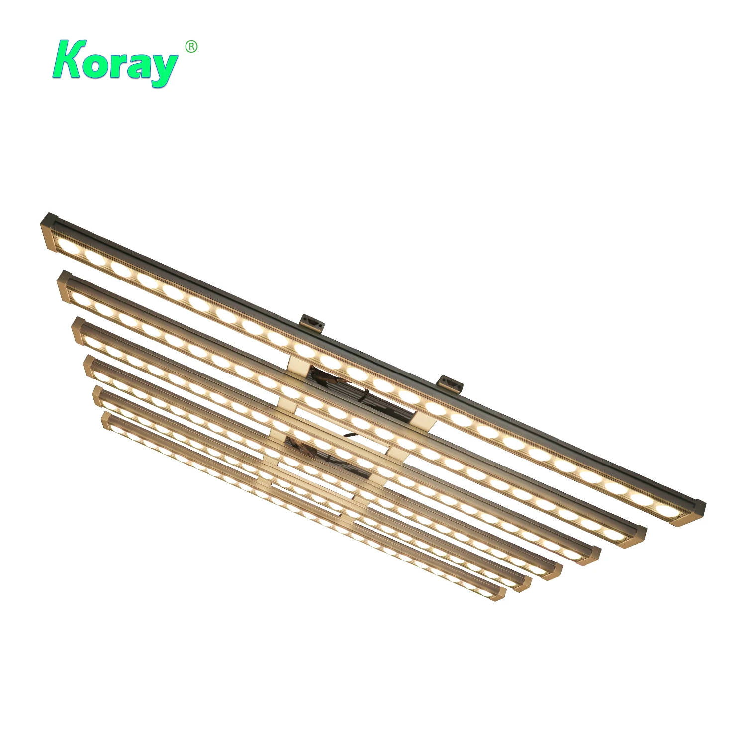 Koray 900W Indoor full spectru - Grow Light Led 评论和价格