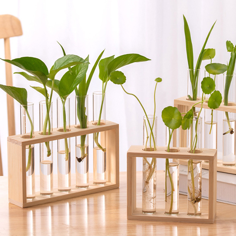 Hydroponic Plants Container wi - Hydroponic Grow Pod 评论和价格